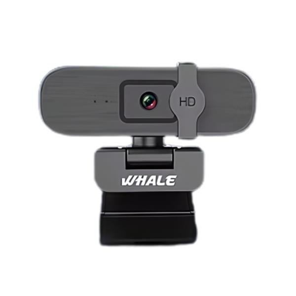 WebCam Whale WW4 