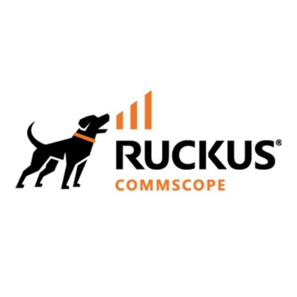 Licença Para Gerenciamento De Switches Ruckus L09-0001-SGCX