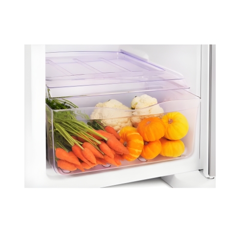 Geladeira 1 Porta Electrolux RE31 240 L